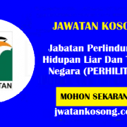 Jawatan Kosong Jabatan Perlindungan Hidupan Liar Dan Taman Negara 